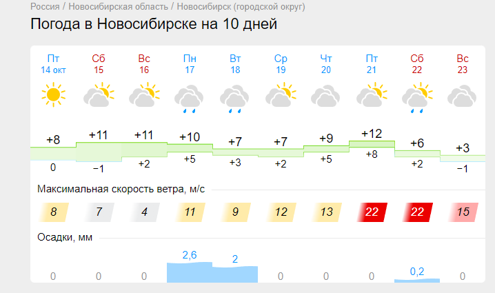 Фото В Новосибирске с 17 октября ожидается неделя дождей 3